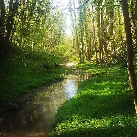 Semesterbostad La Mise En Seine *